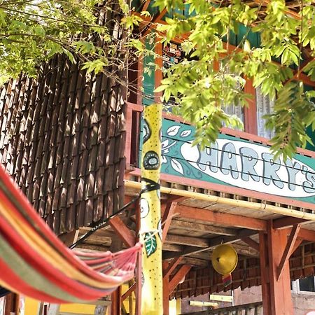 Harry'S Ocean House Watukarung Homestay Kalak Exterior photo