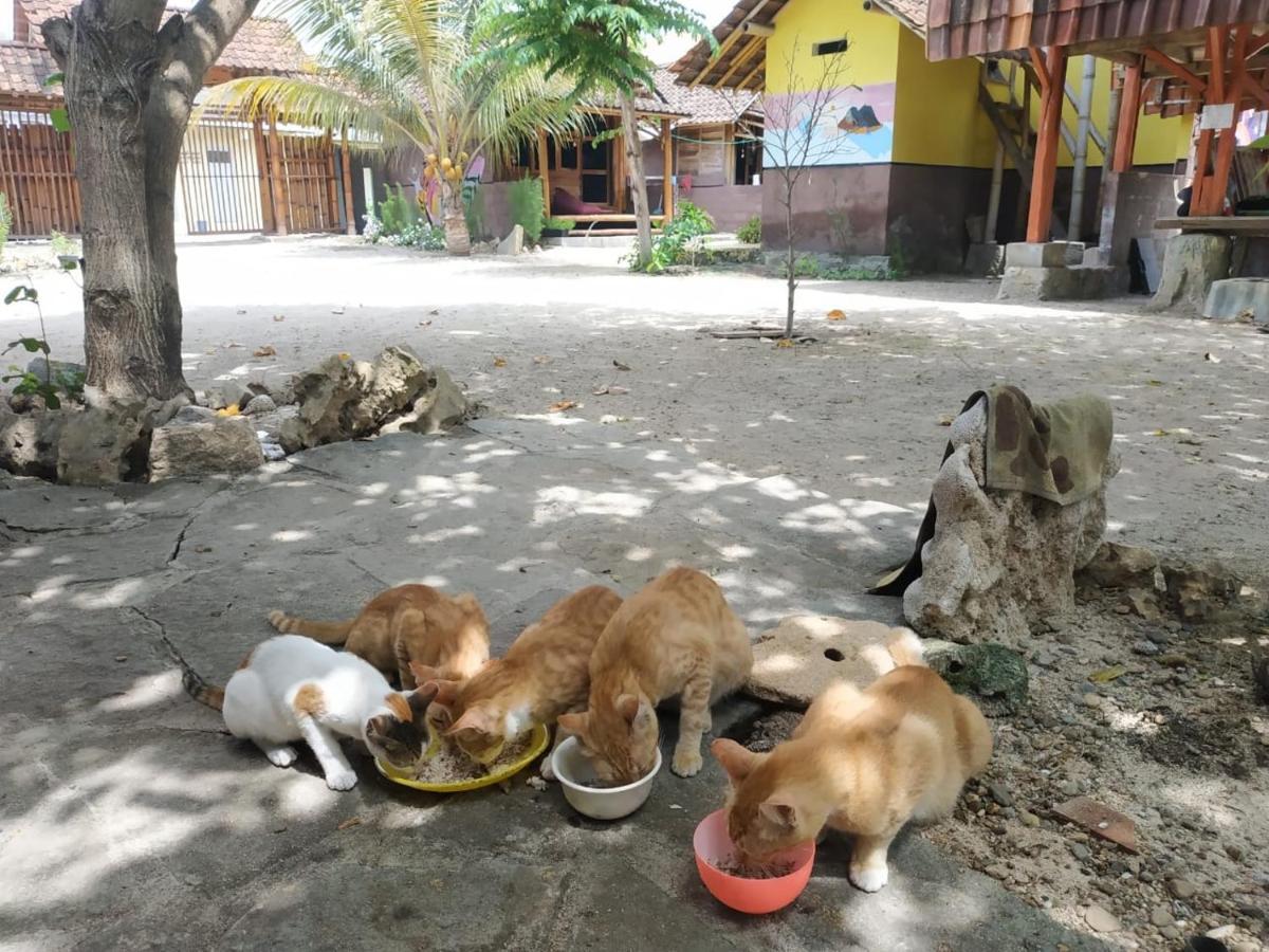 Harry'S Ocean House Watukarung Homestay Kalak Exterior photo